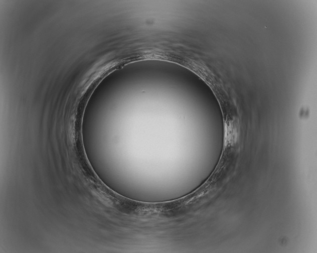 X0000097460291200802221220