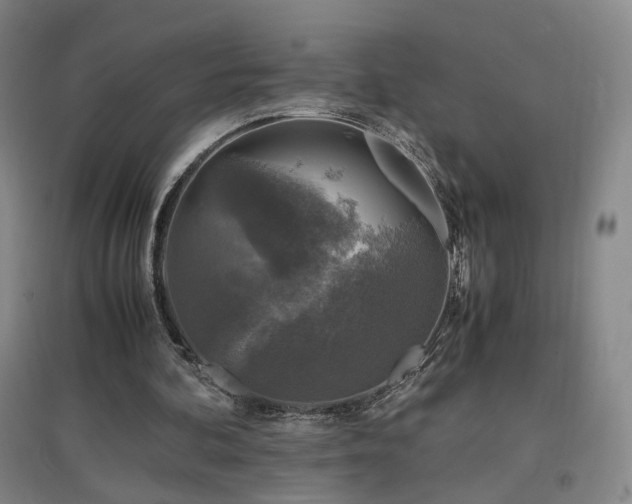 X0000097460292200802221220