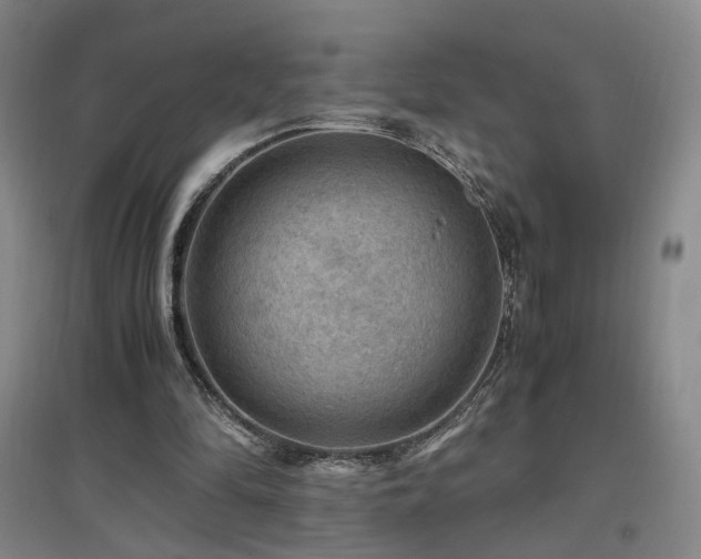 X0000097460294200802221220