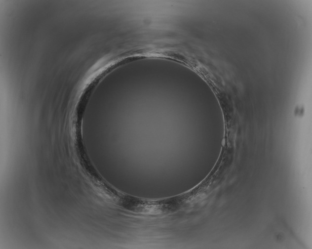 X0000097460295200802221220