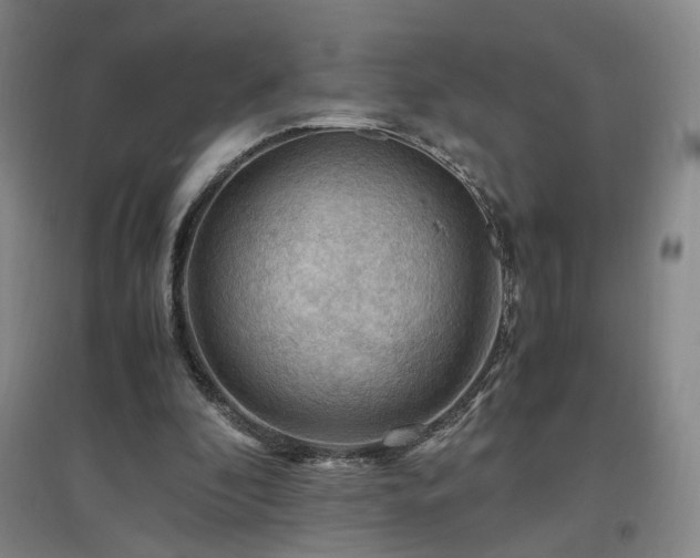 X0000097460296200802221220