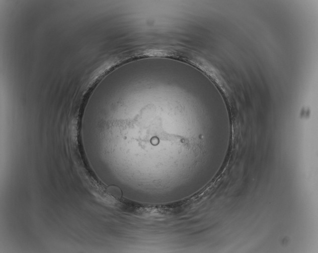 X0000097460297200802221220