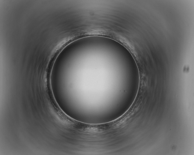 X0000097460298200802221220