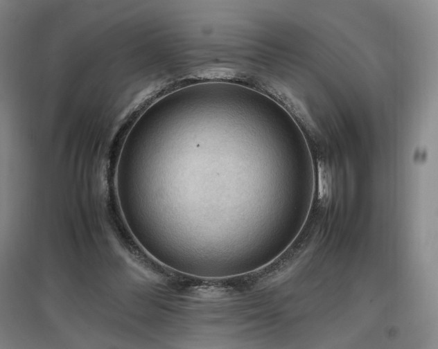 X0000097460300200802221220