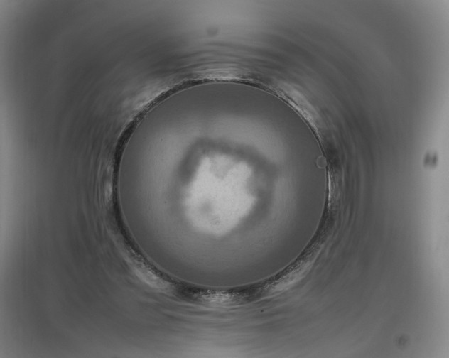 X0000097460301200802221220