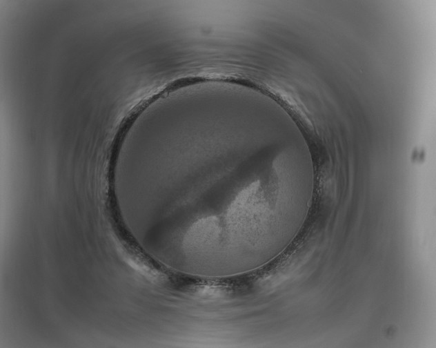 X0000097460303200802221220