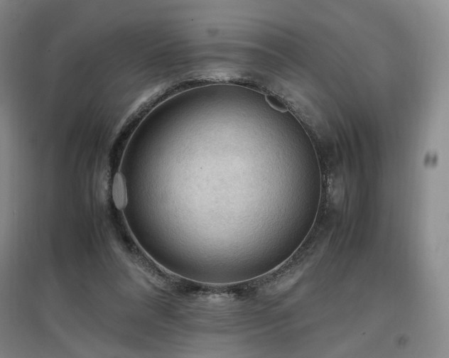 X0000097460304200802221220