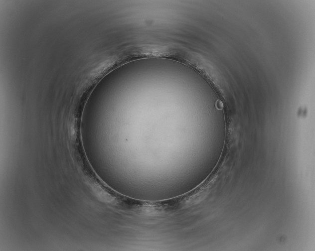 X0000097460305200802221220