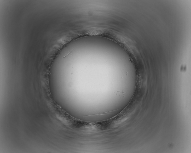 X0000097460307200802221220