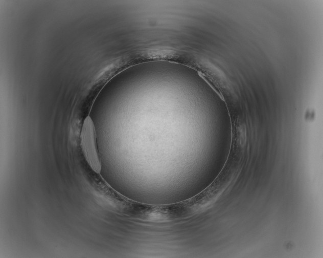 X0000097460308200802221219