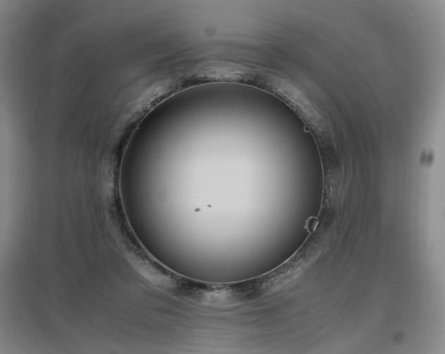 X0000097460309200802221219