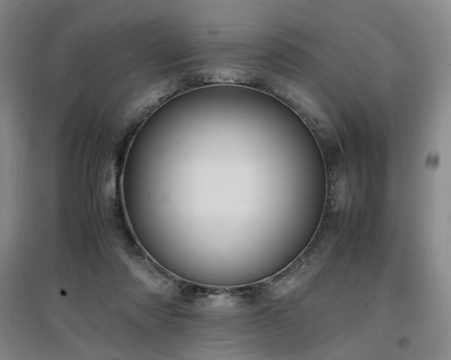 X0000097460310200802221219