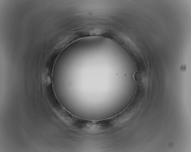 X0000097460311200802221219