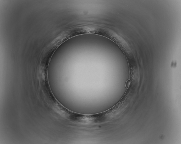 X0000097460313200802221219