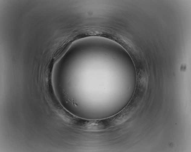 X0000097460315200802221219