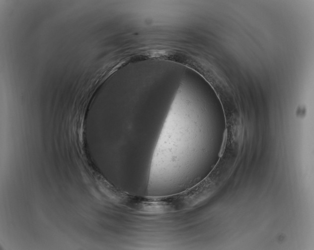 X0000097460316200802221219