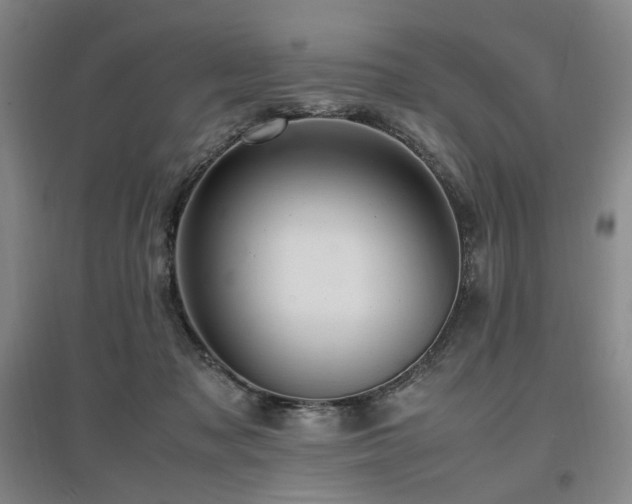 X0000097460317200802221219