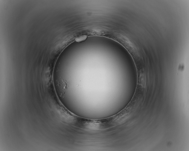X0000097460318200802221219