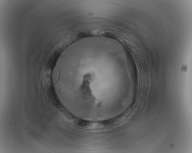 X0000097460319200802221219