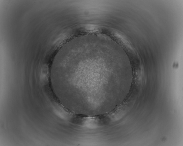 X0000097460320200802221219