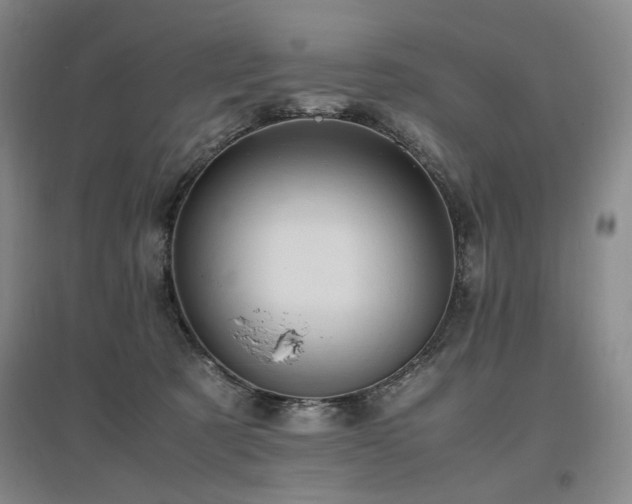 X0000097460321200802221219