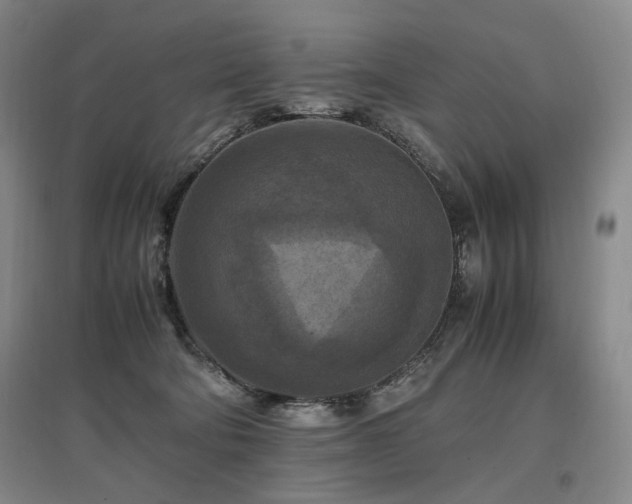 X0000097460322200802221219