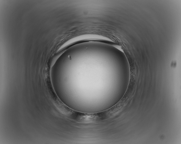X0000097460323200802221219