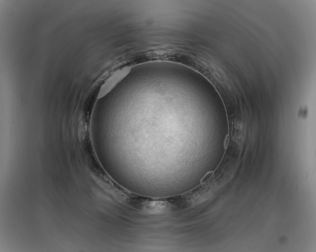 X0000097460324200802221219