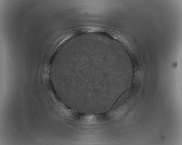 X0000097460325200802221219