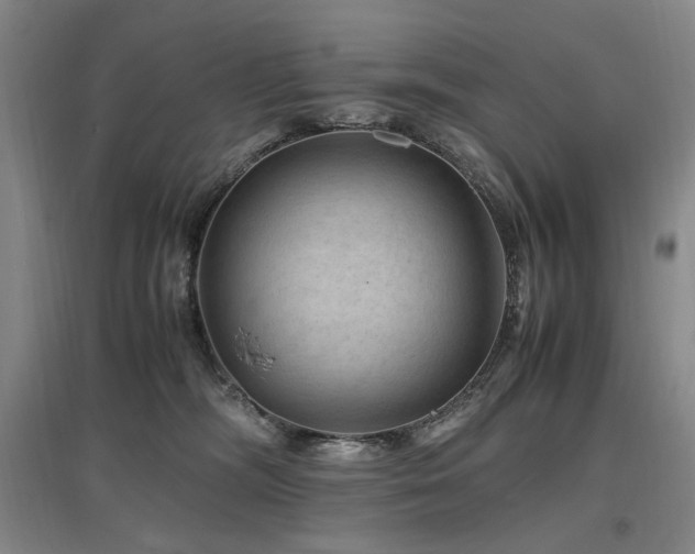 X0000097460326200802221219