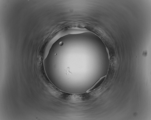 X0000097460327200802221219