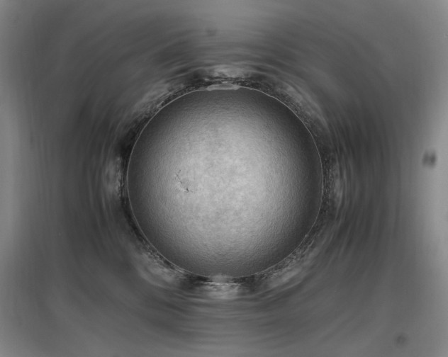 X0000097460328200802221219