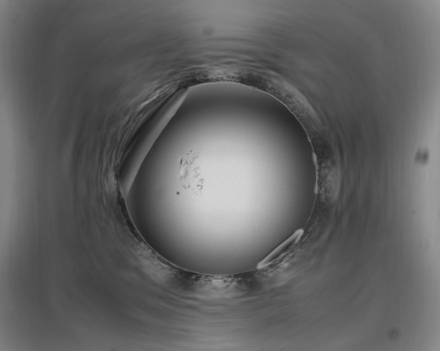 X0000097460329200802221219