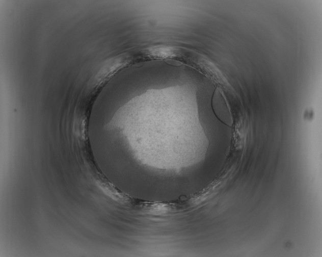 X0000097460330200802221219