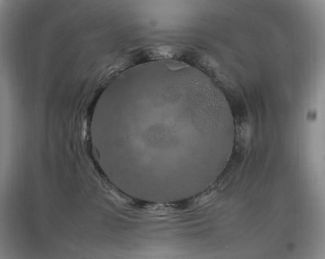 X0000097460331200802221219