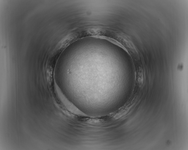 X0000097460332200802221219