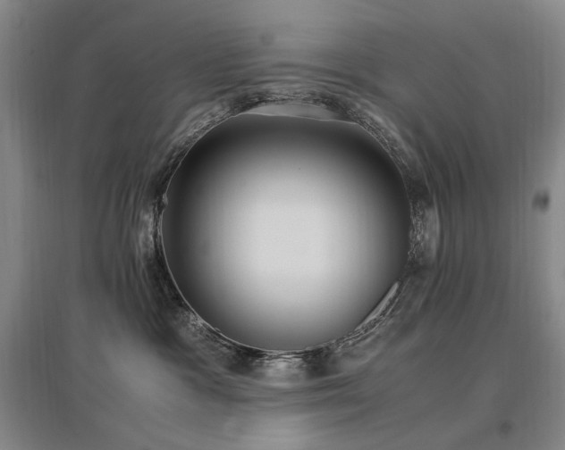 X0000097460333200802221219