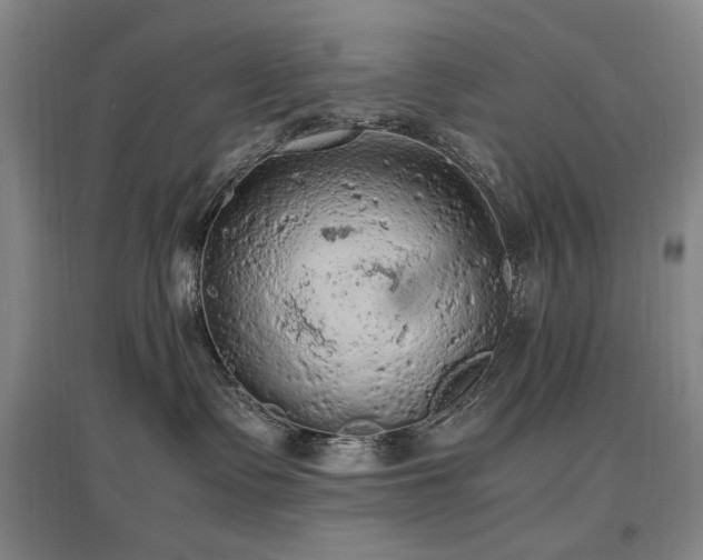 X0000097460335200802221219