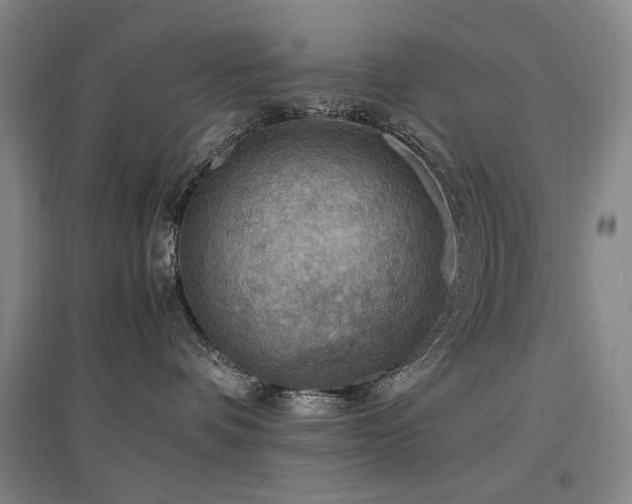 X0000097460336200802221219