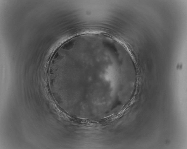 X0000097460337200802221218