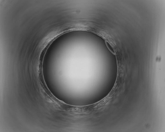 X0000097460338200802221218
