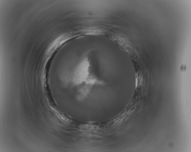X0000097460339200802221218