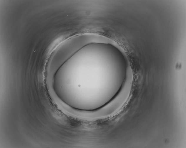 X0000097460340200802221218