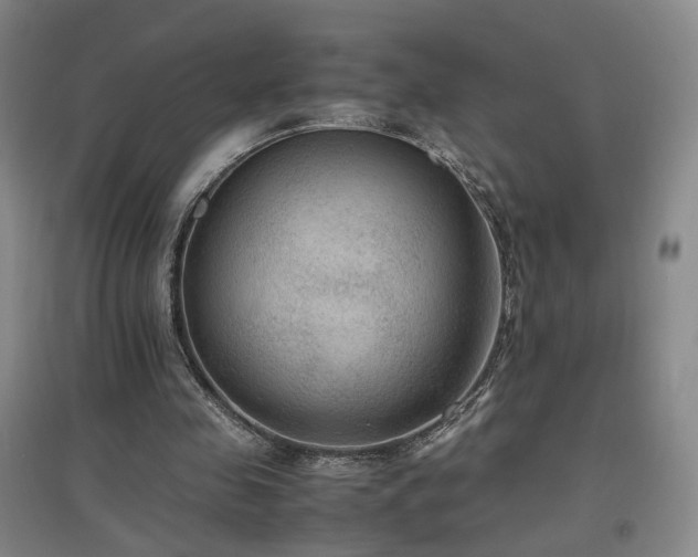 X0000097460341200802221219