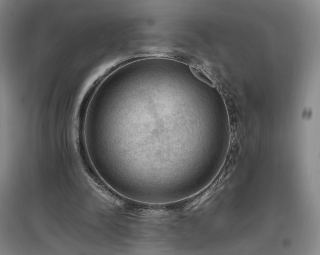 X0000097460342200802221219