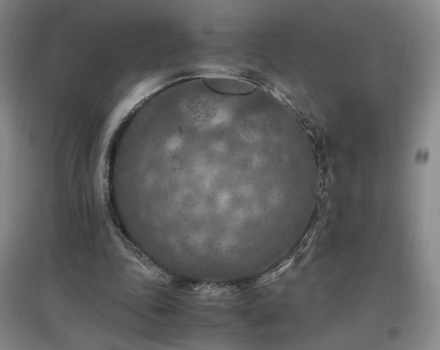 X0000097460343200802221219