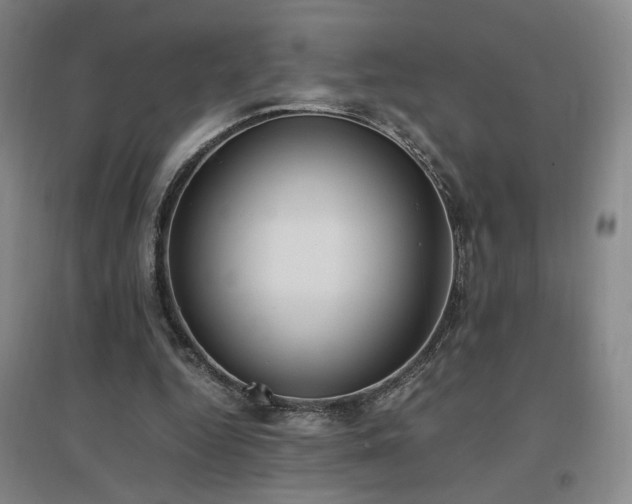 X0000097460344200802221219
