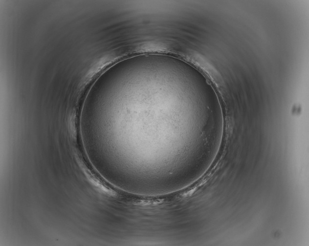 X0000097460345200802221219