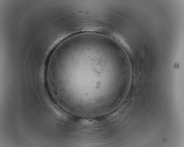 X0000097460346200802221219