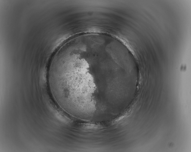 X0000097460347200802221219